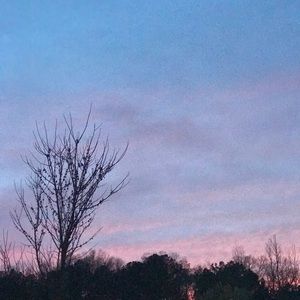 Meet your Posher, Lashawnta